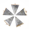 Electroplate Natural Labradorite Pendants G-S344-49D-1