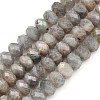 Natural Labradorite Beads Strands G-C259-A41-5x8mm-2