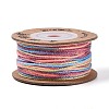 30M Segment Dyed Macrame Cotton Cord OCOR-T018-01F-1