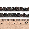 Natural Biotite Beads Strands G-N346-04A-02-5