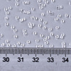 Glass Seed Beads SEED-S042-11B-08-4