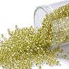 TOHO Round Seed Beads SEED-JPTR11-0295-1