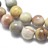 Natura Ocean Jasper Beads Strands G-D0001-07-6mm-3