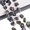 Electroplate Raw Rough Natural Amethyst Beads Strands G-Q610-06C-1
