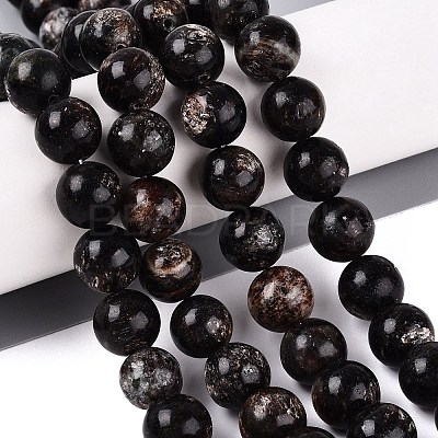 Natural Biotite Beads Strands G-Q616-01E-1
