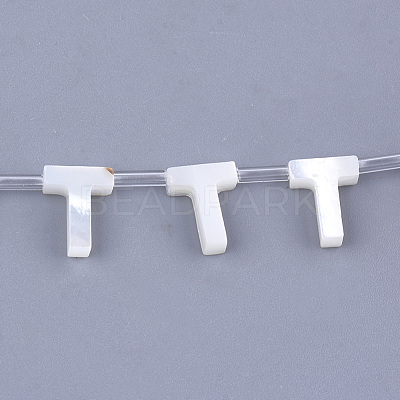 Natural Sea Shell Beads X-SHEL-T012-60T-1
