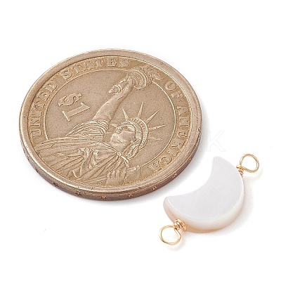2Pcs 2 Styles Natural Freshwater Shell Connector Charms PALLOY-JF02440-02-1
