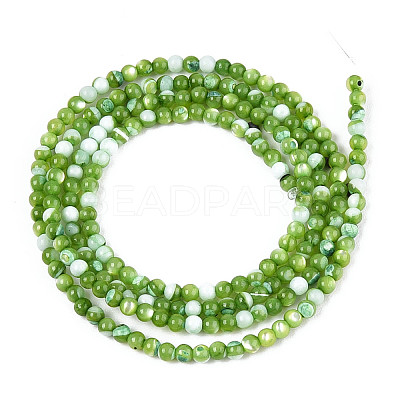 Dyed Natural Trochid Shell/Trochus Shell Beads Strands SSHEL-T017-13C-1