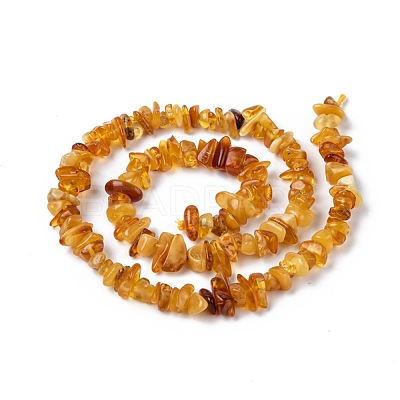 Natural Amber Chip Beads Strands X-G-E271-81-1