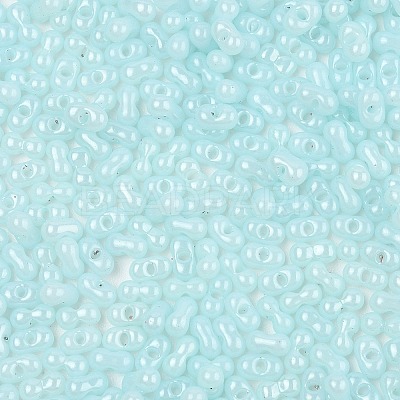 Baking Paint Glass Seed Beads SEED-L011-09A-08-1