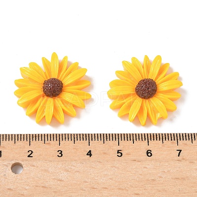 Opaque Flatback Resin Cabochons Accessories RESI-TAC0003-30B-04-1