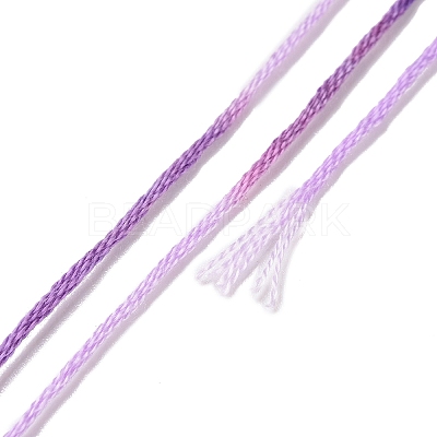 10 Skeins 6-Ply Polyester Embroidery Floss OCOR-K006-A34-1