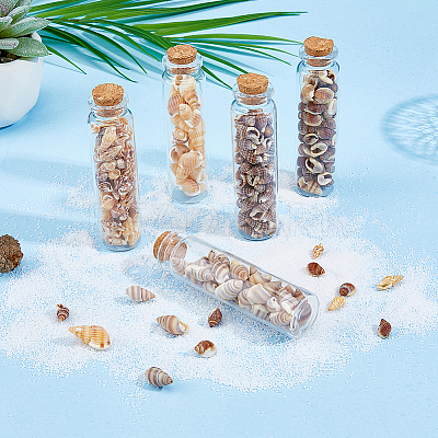 5 Styles Shell Beads SHEL-FH0001-23-1