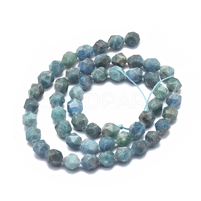 Natural Apatite Beads Strands G-K303-B14-10mm-1