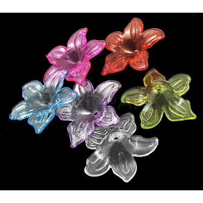 Transparent Acrylic Beads X-PL674Y-1