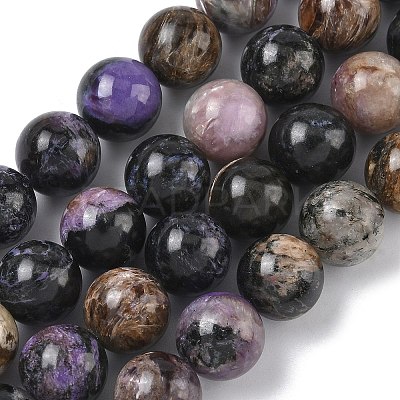 Natural Charoite Beads Strands G-C270-O03-10-1
