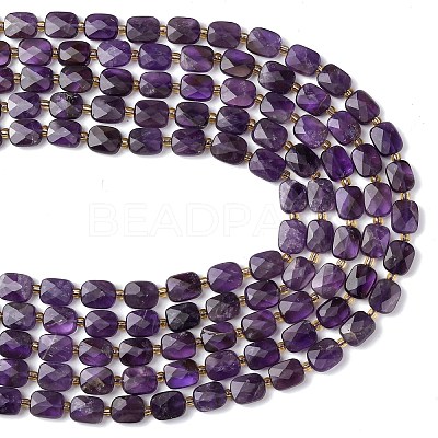 Natural Amethyst Beads Strands G-L654-J01-01-1