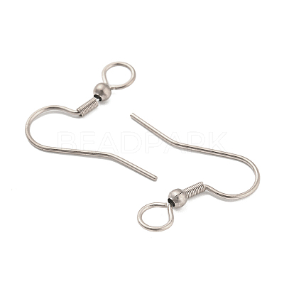 Tarnish Resistant 304 Stainless Steel Earring Hooks STAS-B047-30P-1