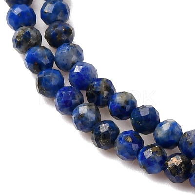 Natural Lapis Lazuli Beads Strands LS-G-D165-B-2mm-1