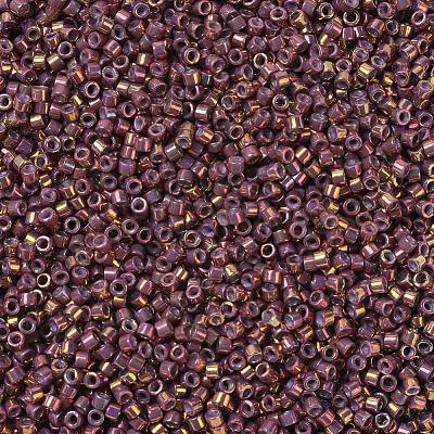 MIYUKI Delica Beads Small SEED-X0054-DBS1013-1