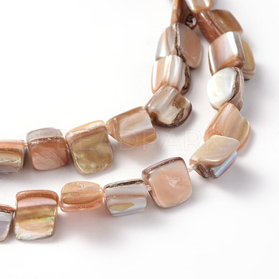 Erose Shell Beads Strands PBB071Y-1
