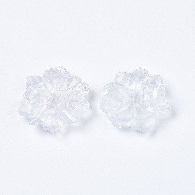 Resin Cabochons X-RESI-S364-46C-1
