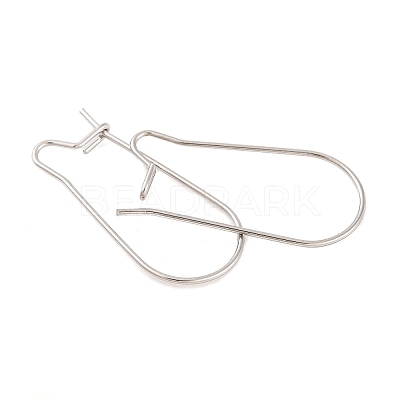 Tarnish Resistant 316 Surgical Stainless Steel Hook Earrings STAS-E009-5-1