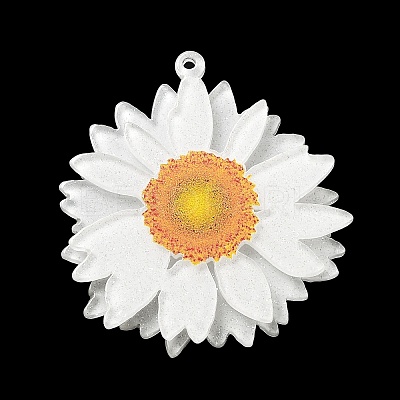 Printed Transparent Acrylic Pendants SACR-P029-B01-1