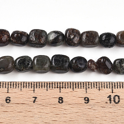 Natural Biotite Beads Strands G-N346-04A-02-1