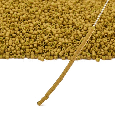 MIYUKI Delica Beads X-SEED-J020-DB0665-1