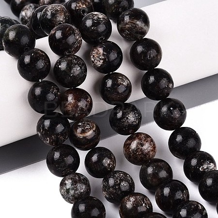 Natural Biotite Beads Strands G-Q616-01E-1