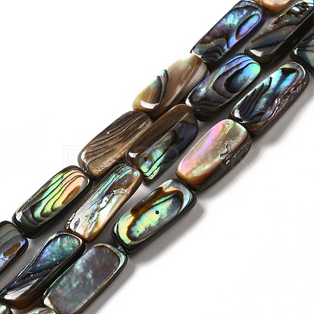 Natural Paua Shell Beads Strands SHEL-G014-09-1