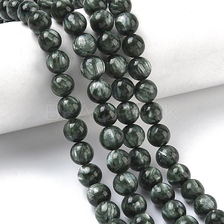 Natural Seraphinite Beads Strands G-C270-O01-07-1