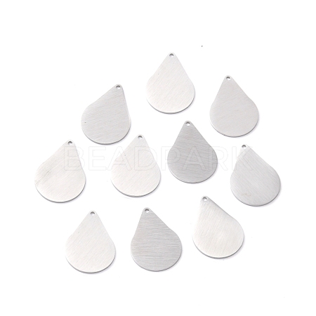 Tarnish Resistant 304 Stainless Steel Pendants STAS-F271-05E-P-1