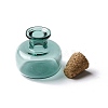 Miniature Glass Bottles GLAA-H019-04H-3