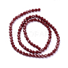 Faceted(32 Facets) Glass Beads Strands EGLA-J042-6mm-24-2