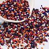 Baking Paint Glass Seed Beads X-SEED-S042-05B-49-1