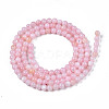 Natural Freshwater Shell Beads Strands BSHE-T009A-01C-2