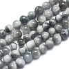 Natura Hawk's Eye Beads Strands G-D0001-22C-10mm-1