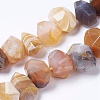 Natural Botswana Agate Beads Strands G-F568-220-1