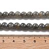 Natural Labradorite Beads Strands G-S333-6mm-035-01-4