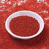 MIYUKI Round Rocailles Beads X-SEED-G007-RR0010-2