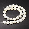 Natural Trochid Shell/Trochus Shell Beads Strands SSHEL-K016-03A-2