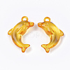 Transparent Acrylic Pendants TACR-S133-070-2