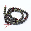 Natural Dragon Blood Beads Strands G-F523-49-8mm-2