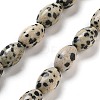 Natural Dalmatian Jasper Beads Strands G-B106-B20-01-1