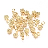 Electroplated Alloy Charms X-PALLOY-G267-08G-1