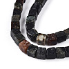 Natural Biotite Beads Strands G-T140-39B-3