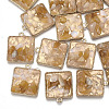Natural Gemstone Chips Pendants PALLOY-T056-92-2