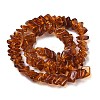 Natural Amber Beads Strands G-K376-C01-01-3